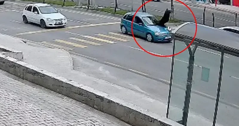 Otomobilin çarptığı yaya yaşam mücadelesi veriyor, sürücü serbest