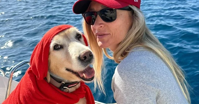 Bodrum daki köpek davasında sanık beraat etti Muğla Haberleri