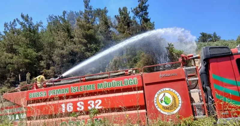 Bursa’da piknik alanı yakınındaki yangın korkuttu