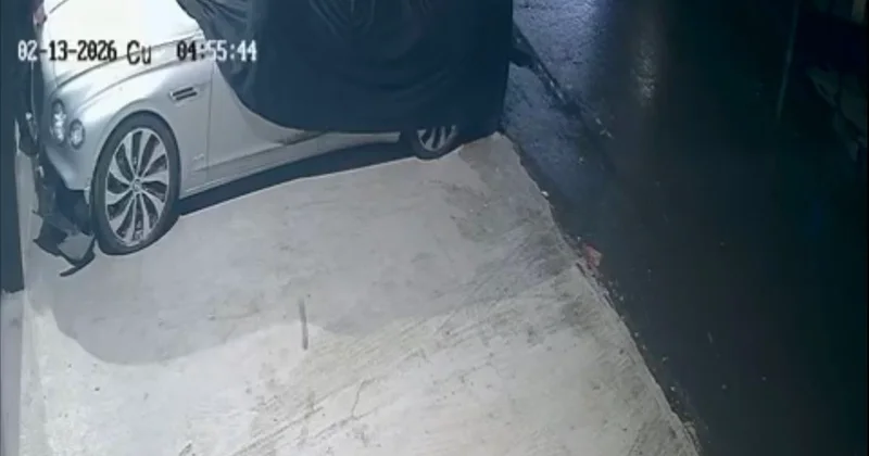 Lüks otomobilin servet değerindeki altın amblemini çaldı, savunması pes dedirtti
