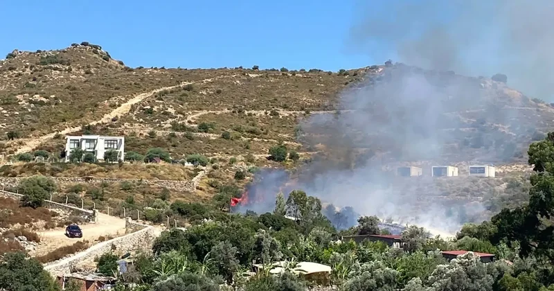 Tatil cenneti Bodrum da yangın!