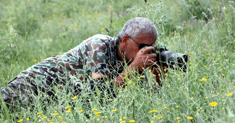 Yalnızca Van da görülüyor