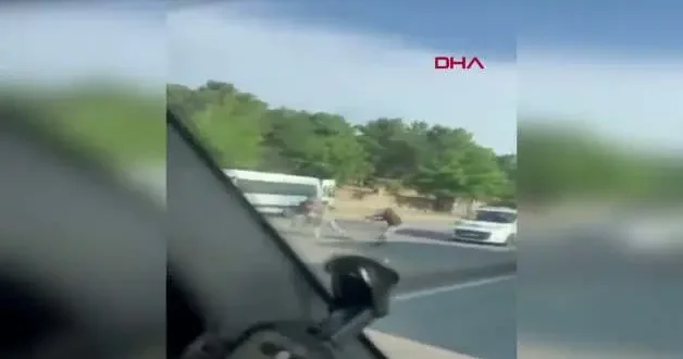 Trafikteki tartışmada sopalar konuştu