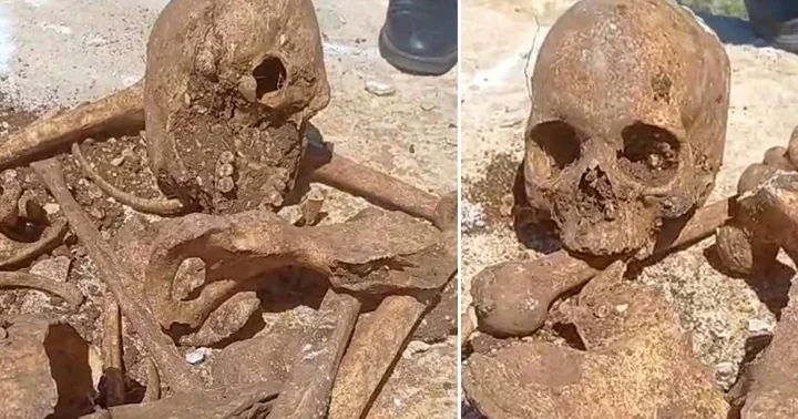 Malatya da temel kazısında insan kemikleri ile kafatası parçası bulundu