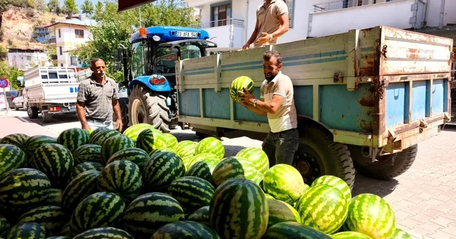Doğallığıyla damaklarda iz bırakan Hıdıroz Karpuzu tezgahlarda yerini aldı Tunceli Haberleri Habertürk Yerel Haberler
