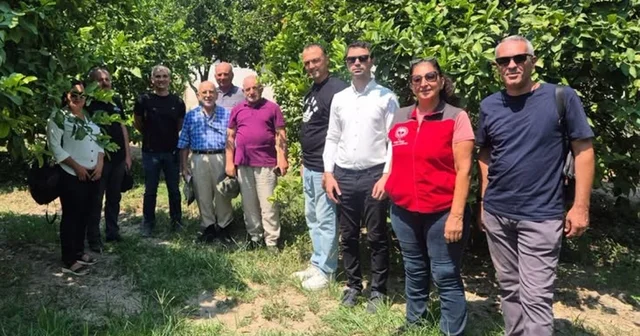 Turunçgil üretim alanlarında sürdürülebilir biyolojik mücadele çalışmaları Muğla Haberleri Habertürk Yerel Haberler