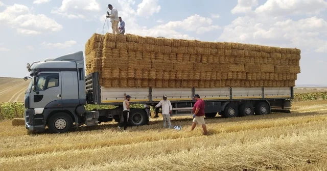 Tekirdağlı genç çiftçiden yangın bölgesindeki üreticilere saman balyası yardımı Tekirdağ Haberleri Habertürk Yerel Haberler