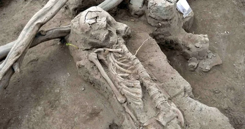 İsveç te hamile bir kadına ait 9 bin yıllık kalıntılar bulundu