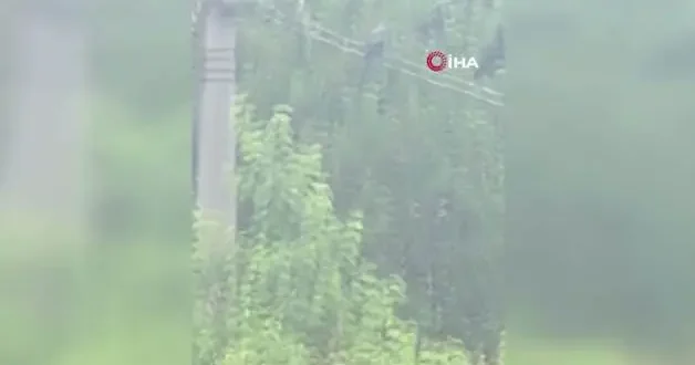Karabük te karganın Allah dediği anlar kamerada!