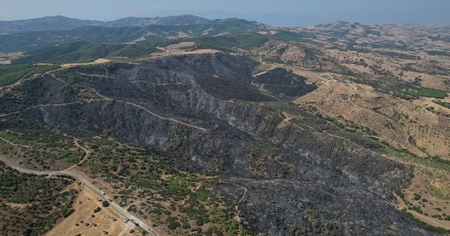 Yangının bilançosu gün ağarınca ortaya çıktı Yaklaşık bin dönüm alan küle döndü Manisa Haberleri Habertürk Yerel Haberler
