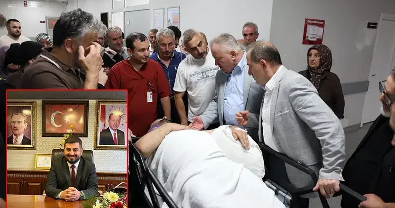 Arı kovanlarının bakımını yaparken iskeleden düşen belediye başkanı yaralandı