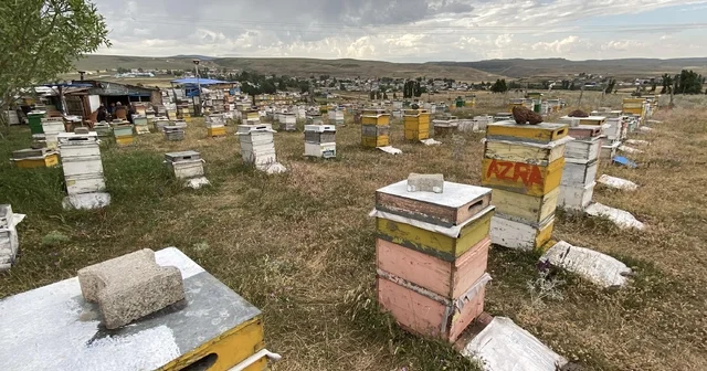 Kars ta arıcılardan dolu ve fırtınaya karşı taşlı önlem Kars Haberleri Habertürk Yerel Haberler