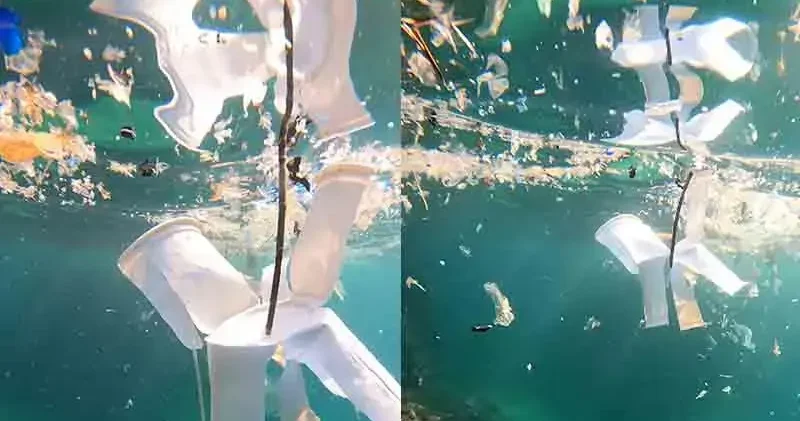 Mikroplastik kirliliği, su altında daha yoğun