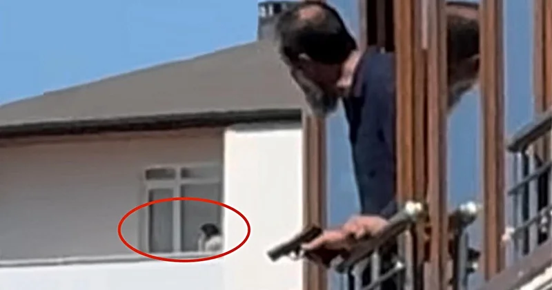Maltepe deki kanlı saldırı sırasında dikkat çeken görüntü: Kurşun yağarken istifini bile bozmamış