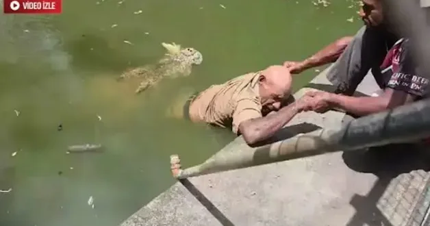 Papua Yeni Gine de dehşet: Beslediği timsahın kurbanı oldu!