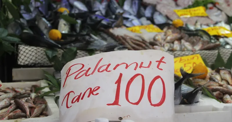 Geçen yılki palamut hasreti bitti: Rakamı duyan vatandaş akın etti