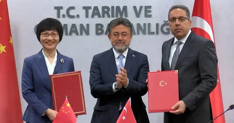 Türkiye ile Çin arasında defne ihracatı protokolü