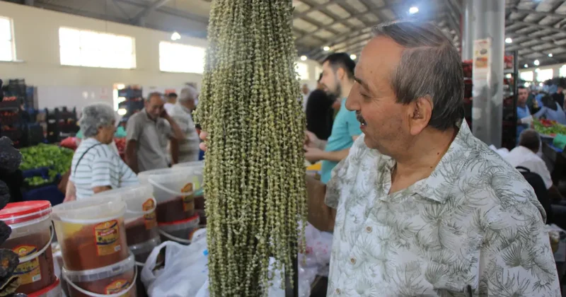 Hızır ın cebinden düşen şifa kaynağı: 100 gramı 300 TL den satılıyor