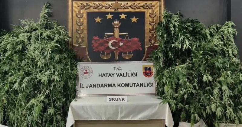 Hatay’da jandarmadan uyuşturucu operasyonu