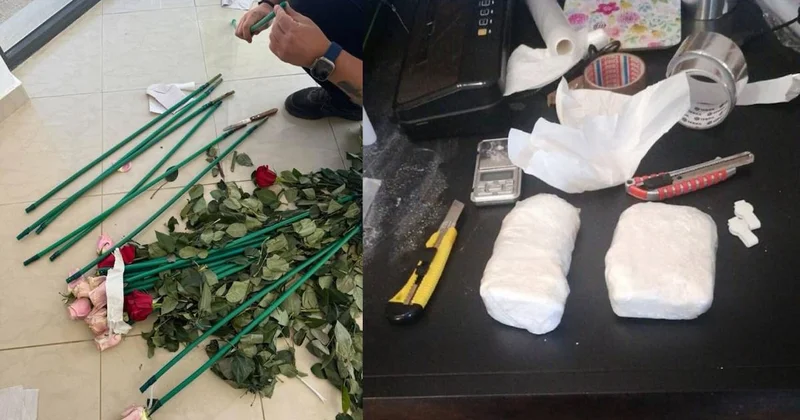 Polis de neye uğradığını şaşırdı: Güllerin sapından 84 kilo kokain çıktı Sözcü Gazetesi