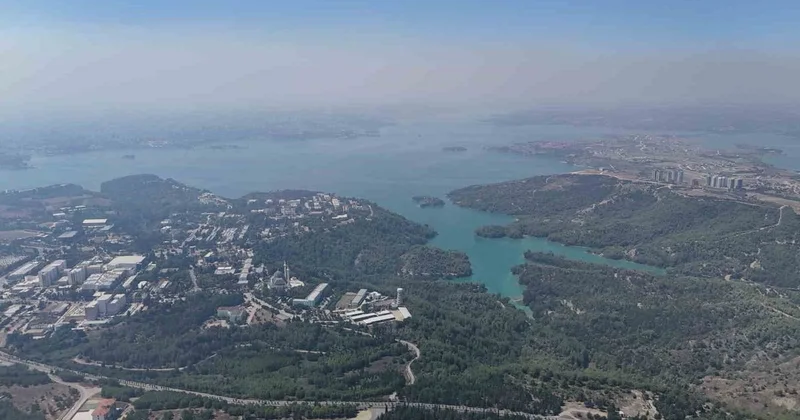 Adana’daki orman yangını uydudan bile görünüyor! Çevre mühendisi vatandaşı böyle uyardı