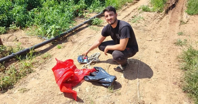 Salçalık biberi önce hırsızlar hasat etti Tarla sahibi 1 ton salçalık kırmızı biber çalındığını söyledi Adana Haberleri Habertürk Yerel Haberler