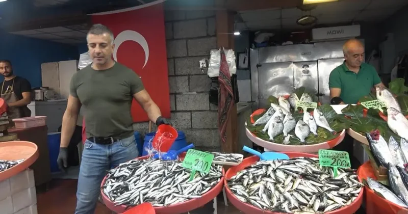 Fiyatlar düşüşte! Hamsi 150, palamut 100 TL