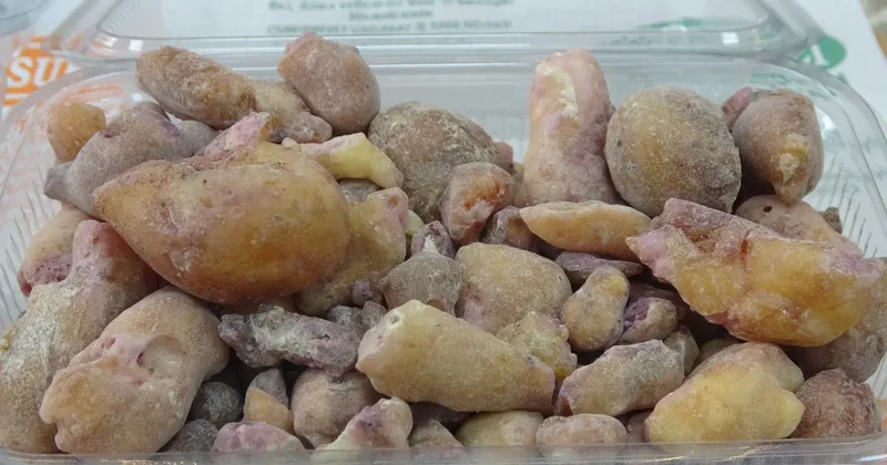 Kilosu 10 bin liraya ulaştı! 20 metrelik ağaçlardan tek tek toplanıyor