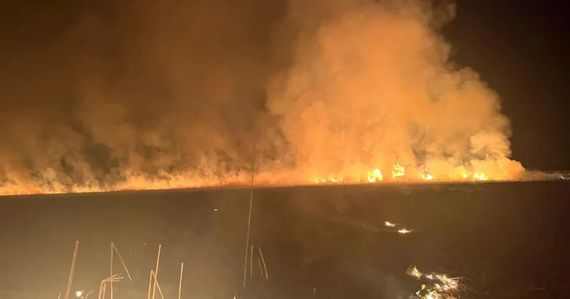 Hakkari deki Nehil Sazlığı nda yangın