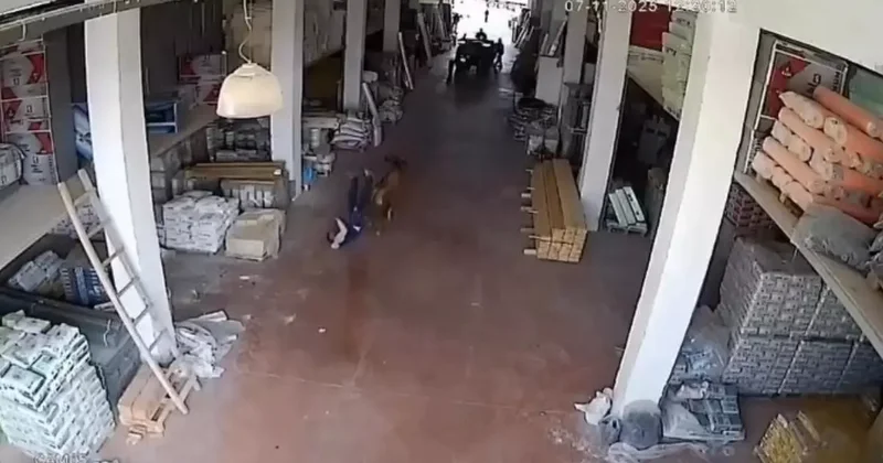 Depoya giren inek çalışanlara saldırdı: Vatandaşlar güçlükle kurtuldu