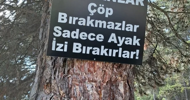 Ormanlık alanda çöp yığınları Bolu Haberleri