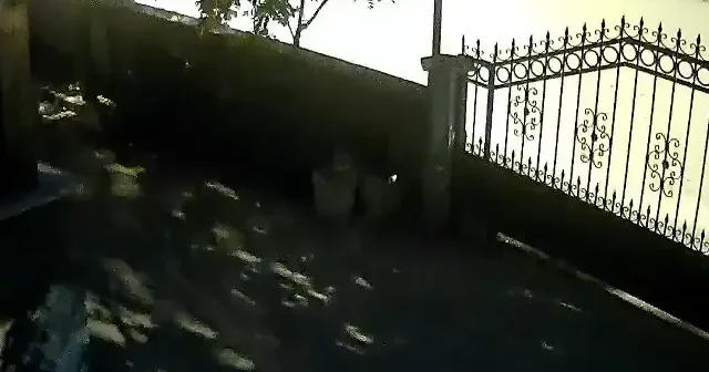 AFAD son depremler: Balıkesir 4.5 büyüklüğünde deprem: Yaşanan sarsıntı kamerada DEPREM SON DAKİKA VİDEO İZLE