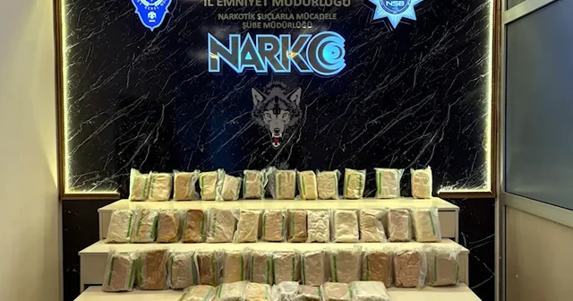 Kapıkule de TIR dan 66 kilo 400 gram uyuşturucu hammaddesi ele geçirildi Edirne Haberleri