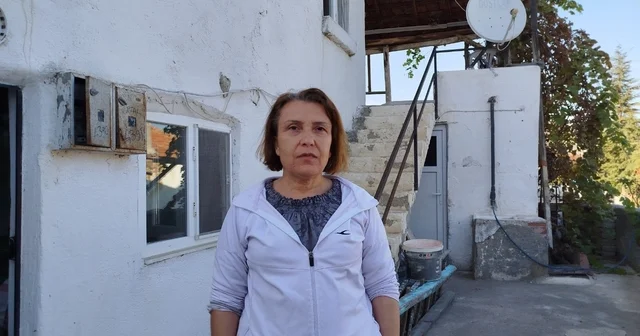 Evin çatısına yuva yapan eşek arıları hastanelik etti Çorum Haberleri