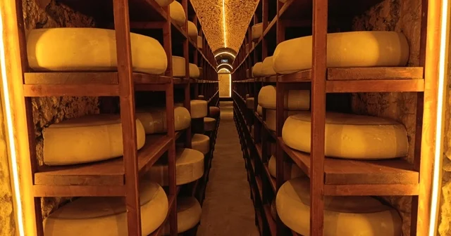 Kars Peynir Müzesi yoğun ilgi görüyor Tematik Müzeyi 11 ayda 82 bin kişi ziyaret etti Kars Haberleri