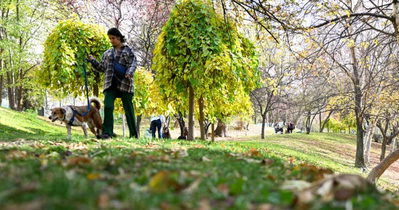 Hava durumu İstanbul: Yurt genelinde hava açık 2 bölgede sağanak SON DAKİKA HABER Son dakika haberleri