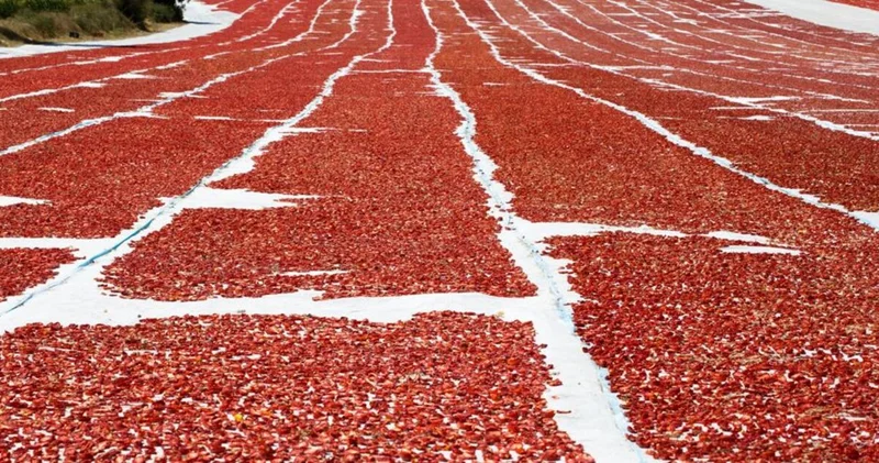 Kuru domateste dünya ikinciliği: İhracatı 100 milyon doları aştı İş Yaşam Haberleri