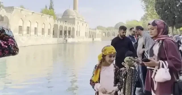 Balıklıgöl de ara tatil yoğunluğu yaşanıyor VİDEO İZLE