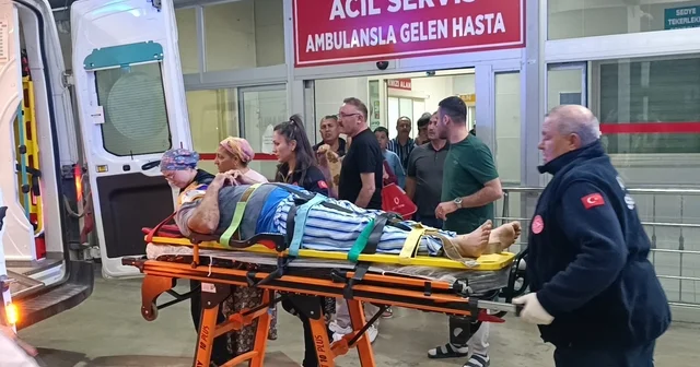 Zeytin bahçesindeki tepeden düşüp, yaralandı Adana Haberleri