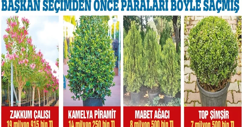 350 milyon lirayı çiçek etti! Sözcü Gazetesi