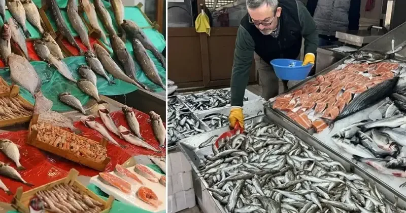 İstanbul da halde bu sezon 13 bin 923 ton balık satışa sunuldu Türkiye Ekonomisi Haberleri