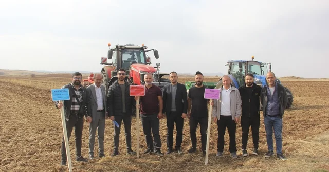 Sivas ta 5 farklı ekmeklik buğday, pilot bölgede toprakla buluşturuldu Sivas Haberleri