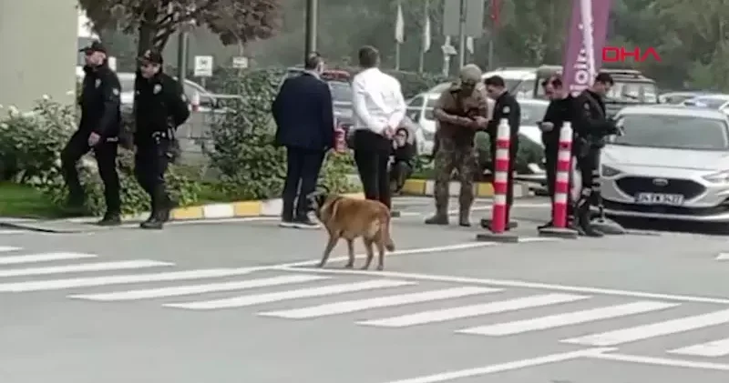 TV binasına silahla girdi, özür dilenmesini istedi