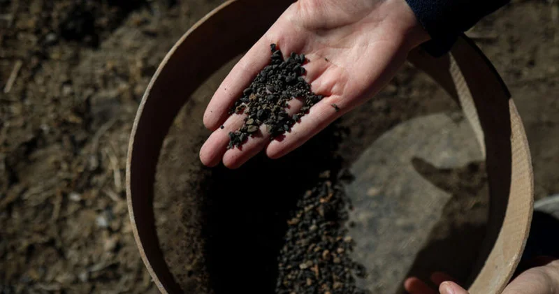 Van da 5 bin yıllık olduğu değerlendirilen arpa taneleri bulundu