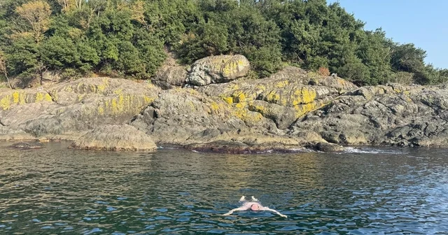 Kasımda deniz keyfi: Giresun Valisi Serdengeçti, adada yüzdü Giresun Haberleri