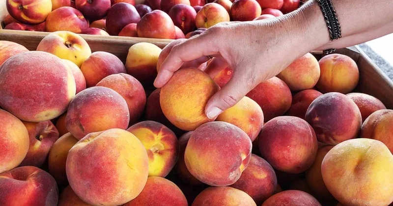 Bunu yapmadan marketten şeftali almayın Sözcü Gazetesi