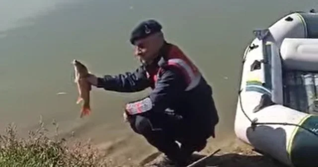 Bilecik te kaçak balık avcısına rekor ceza Bilecik Haberleri