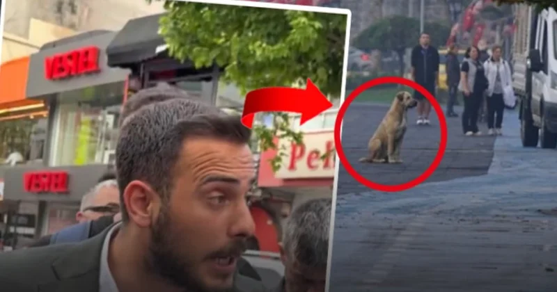 AKP li isimden saygı duruşuna iğrenç paylaşım Sözcü Gazetesi