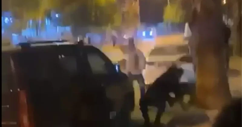 Arazi anlaşmazlığında kan aktı! Bilanço ağır