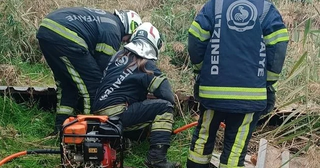 Fosseptik çukuruna düşen köpek kurtarıldı Denizli Haberleri